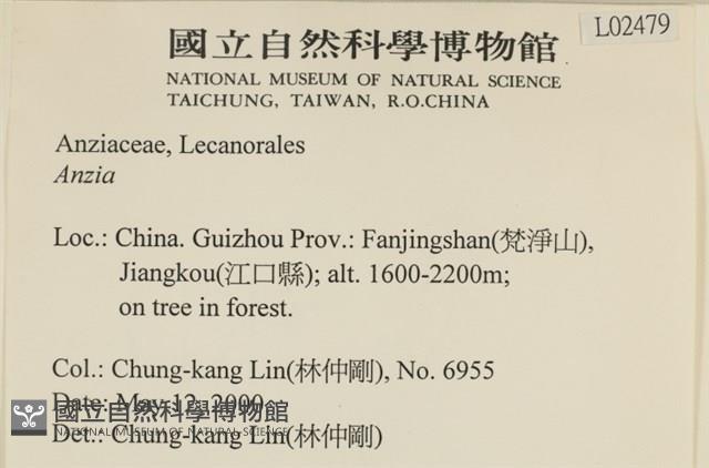 登錄號:L00002479藏品圖，第2張