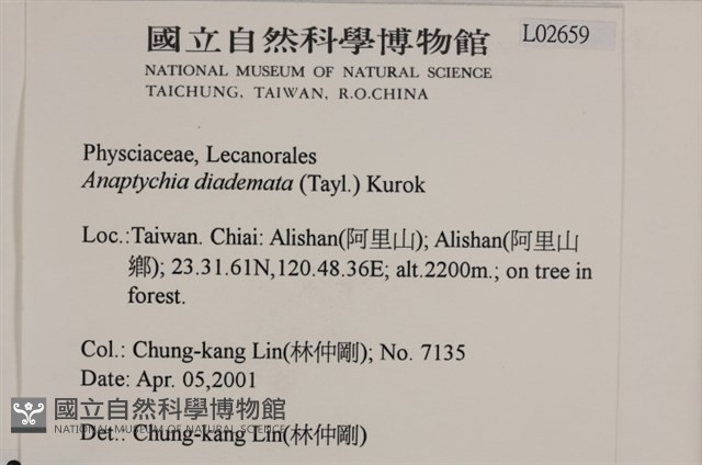 登錄號:L00002659藏品圖，第2張