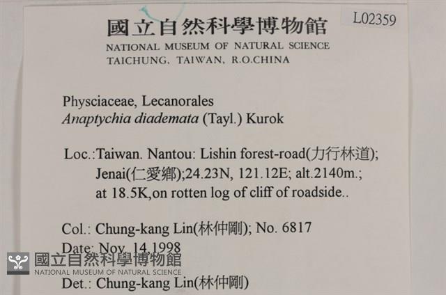 登錄號:L00002359藏品圖，第2張