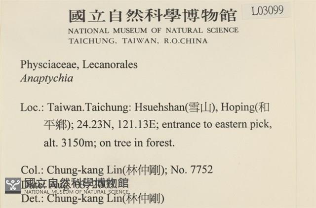 登錄號:L00003099藏品圖，第2張