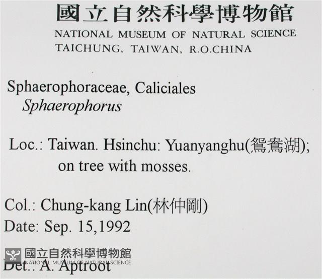 登錄號:L00000599藏品圖，第2張