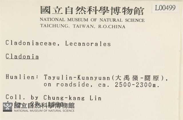 登錄號:L00000499藏品圖，第2張