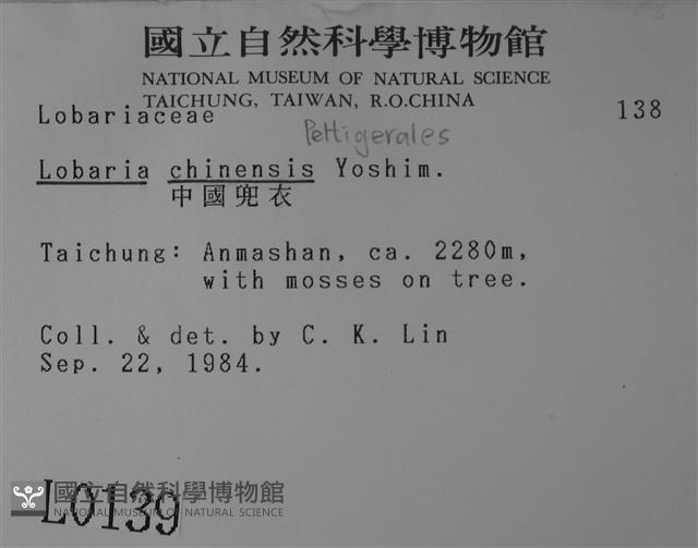 中國兜衣藏品圖，第2張