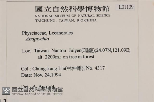 登錄號:L00001139藏品圖，第2張