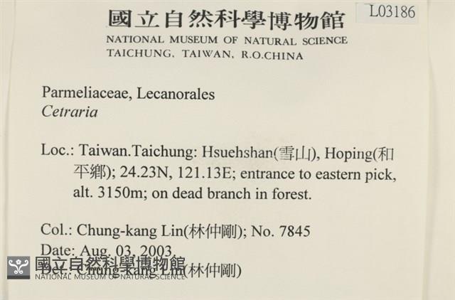 登錄號:L00003186藏品圖，第2張
