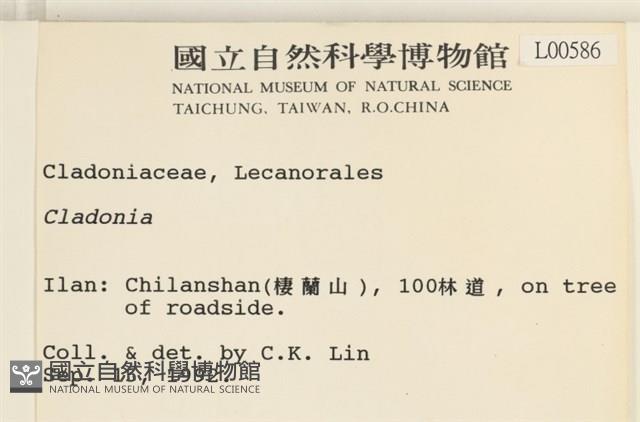 登錄號:L00000586藏品圖，第2張