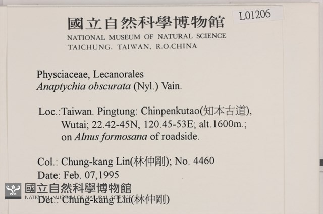 登錄號:L00001206藏品圖，第2張