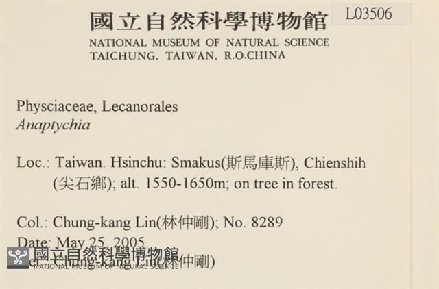 登錄號:L00003506藏品圖，第2張