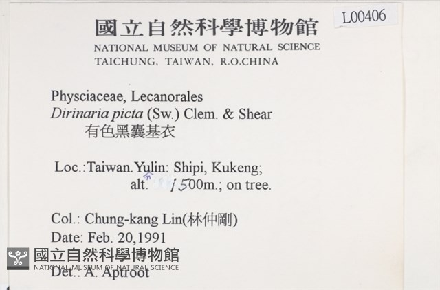 有色黑囊基衣藏品圖，第2張