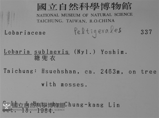 糖兜衣藏品圖，第2張