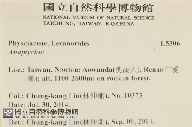 登錄號:L00005306藏品圖，第2張
