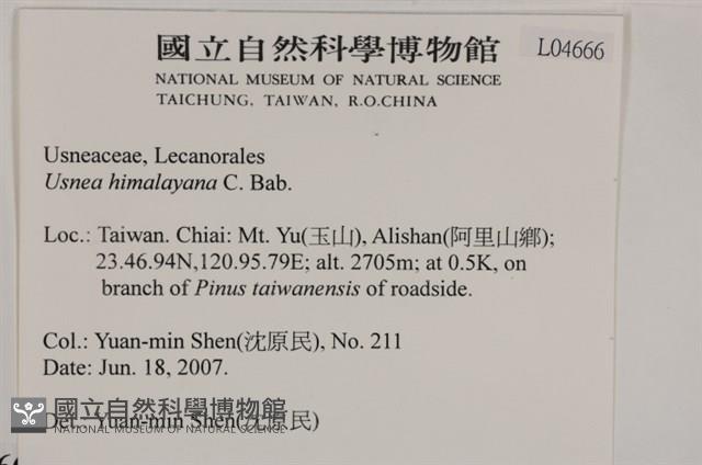 喜馬拉雅菘蘿藏品圖，第2張