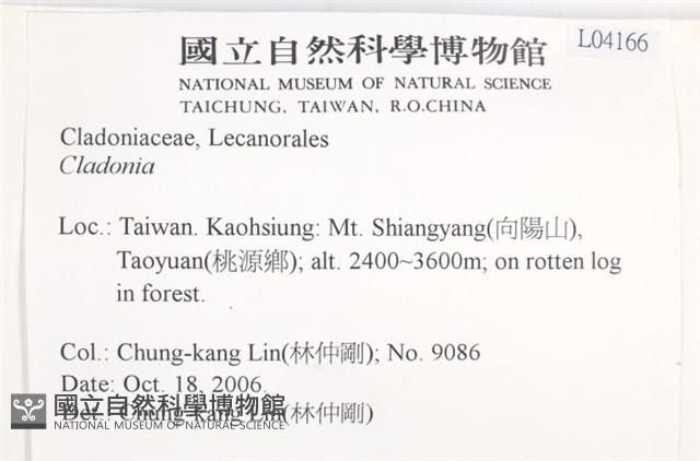 登錄號:L00004166藏品圖，第2張