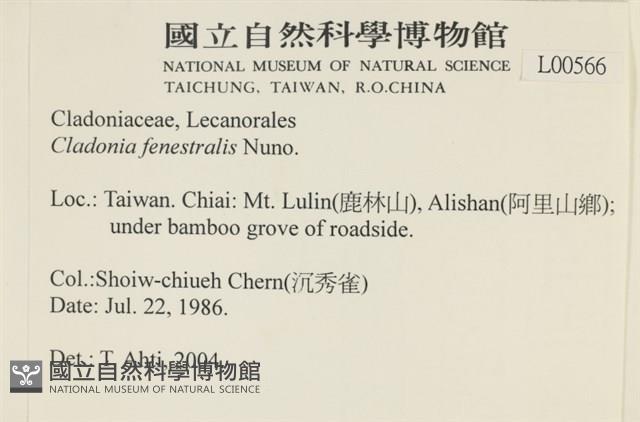 登錄號:L00000566藏品圖，第2張
