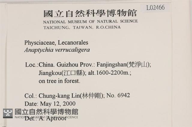 登錄號:L00002466藏品圖，第2張