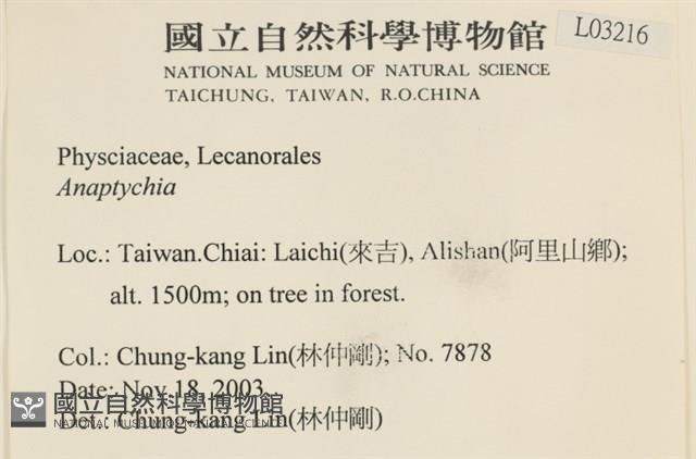 登錄號:L00003216藏品圖，第2張