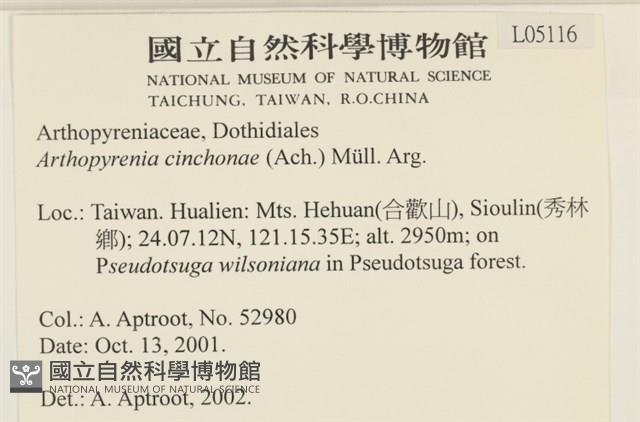 登錄號:L00005116藏品圖，第2張
