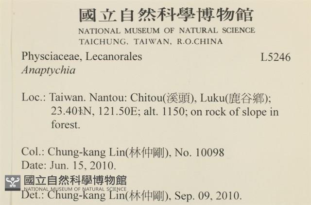 登錄號:L00005246藏品圖，第2張