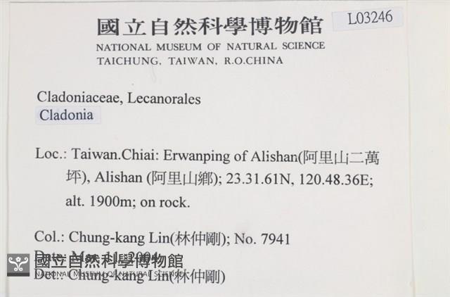 登錄號:L00003246藏品圖，第2張