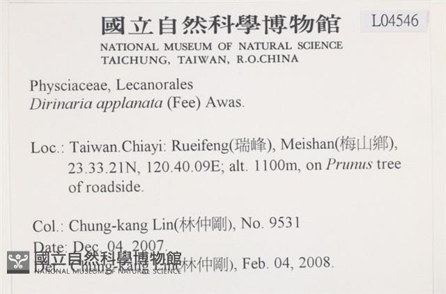 扁平黑囊基衣藏品圖，第2張