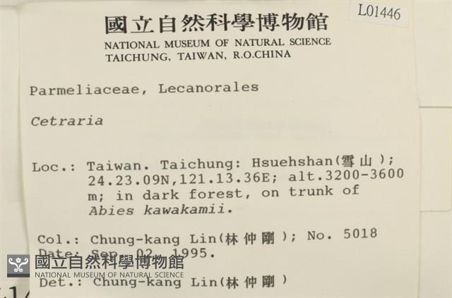 登錄號:L00001446藏品圖，第2張