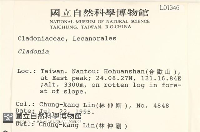 館號:L00001346藏品圖，第2張
