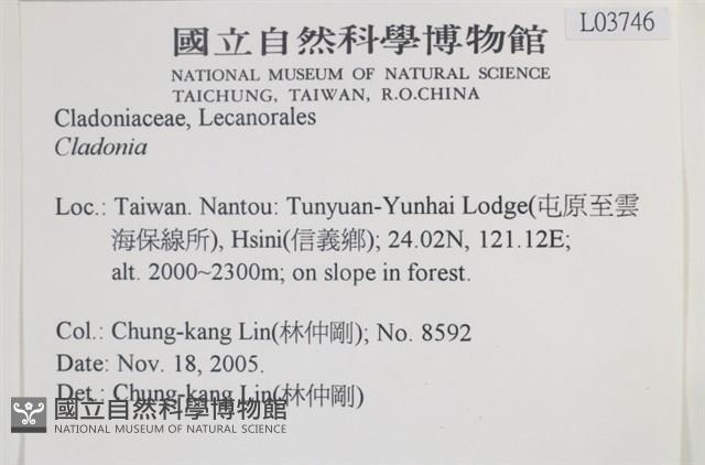 登錄號:L00003746藏品圖，第2張
