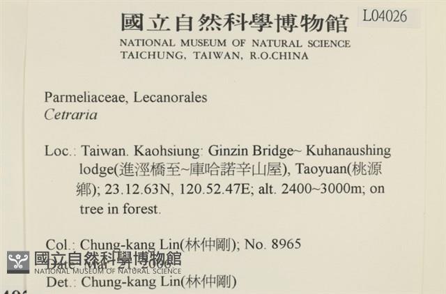 登錄號:L00004026藏品圖，第2張