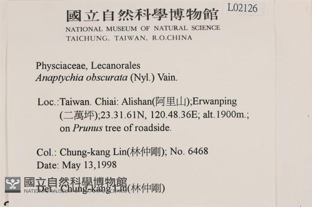 登錄號:L00002126藏品圖，第2張