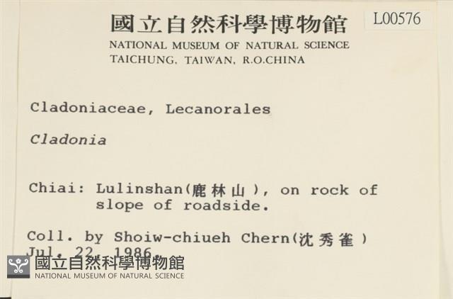 登錄號:L00000576藏品圖，第2張