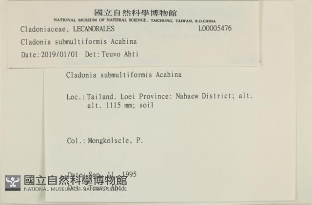 登錄號:L00005476藏品圖，第2張