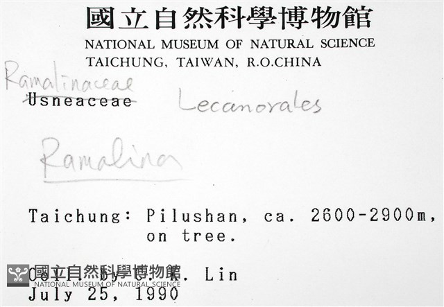 登錄號:L00000256藏品圖，第2張
