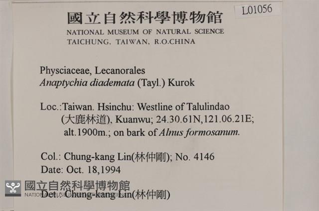 登錄號:L00001056藏品圖，第2張