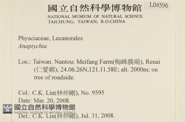 登錄號:L00004596藏品圖，第2張