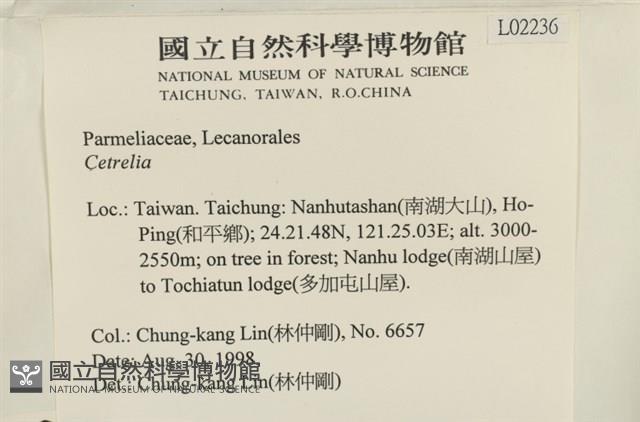 登錄號:L00002236藏品圖，第2張