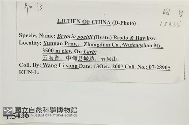 登錄號:L00005436藏品圖，第2張