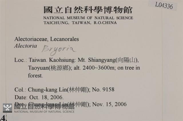 登錄號:L00004336藏品圖，第2張