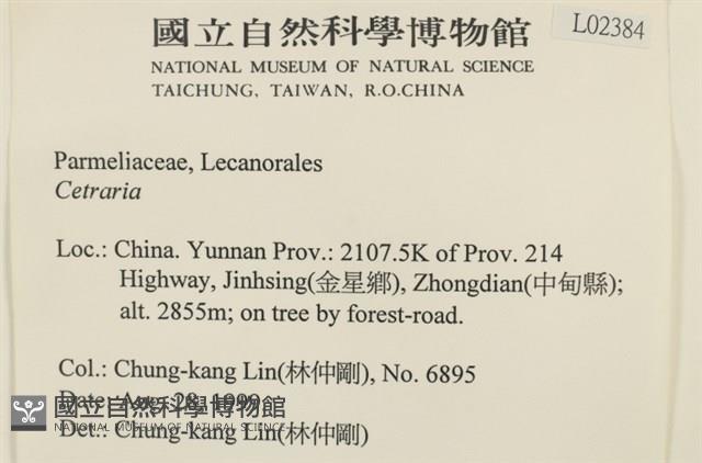 登錄號:L00002384藏品圖，第2張