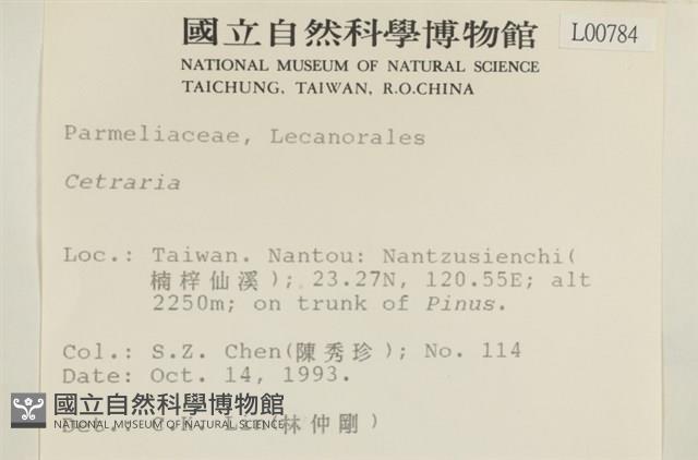 登錄號:L00000784藏品圖，第2張