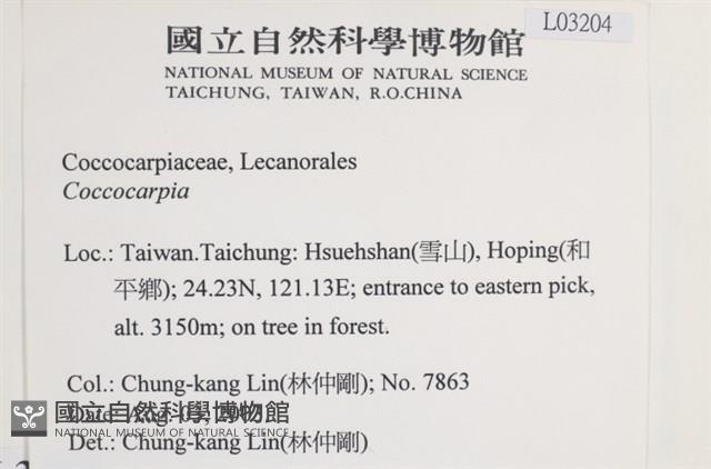 登錄號:L00003204藏品圖，第2張