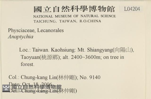 登錄號:L00004204藏品圖，第2張