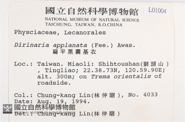 扁平黑囊基衣藏品圖，第2張