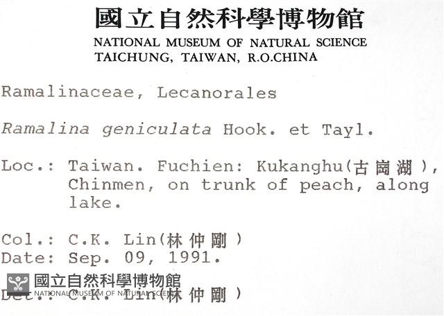 登錄號:L00000504藏品圖，第2張