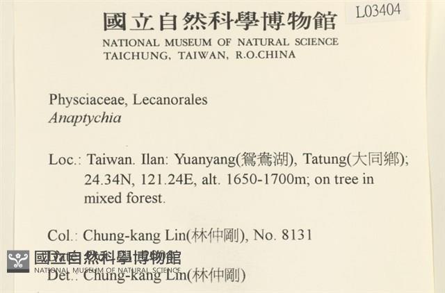 登錄號:L00003404藏品圖，第2張