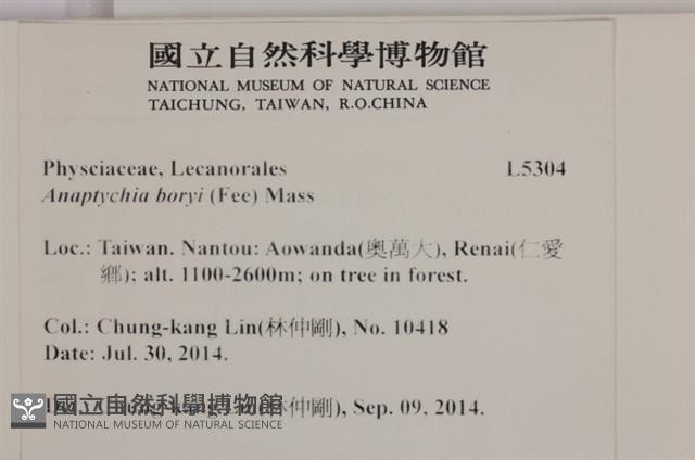 館號:L00005304藏品圖，第2張