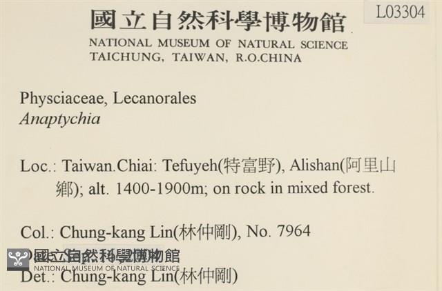 登錄號:L00003304藏品圖，第2張