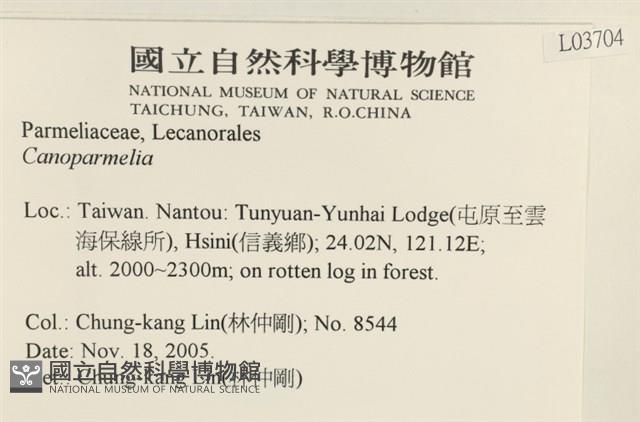 登錄號:L00003704藏品圖，第2張