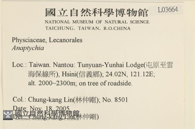 登錄號:L00003664藏品圖，第2張