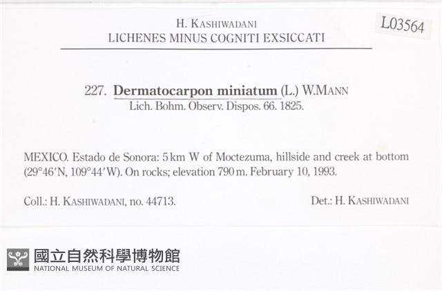 登錄號:L00003564藏品圖，第2張