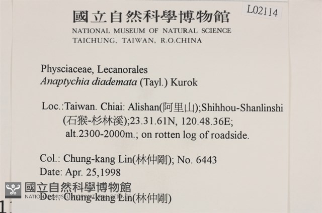 登錄號:L00002114藏品圖，第2張